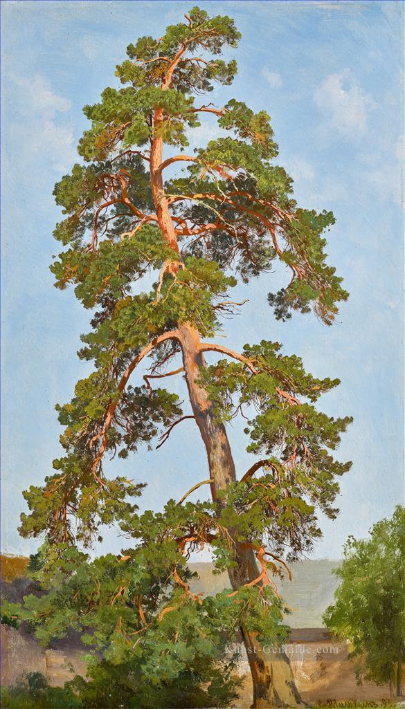 Kiefer Baum klassische Landschaft Ivan Ivanovich Bäume Ölgemälde